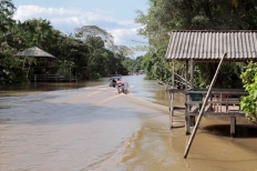 Río Amazonas