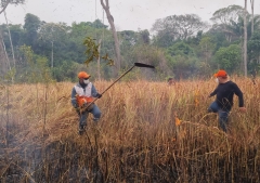 Amazonía bajo fuego: familias y niños en riesgo por incendios y crisis climática