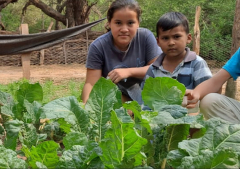 Transformando vidas de familias vulnerables en Bolivia a través de huertos urbanos